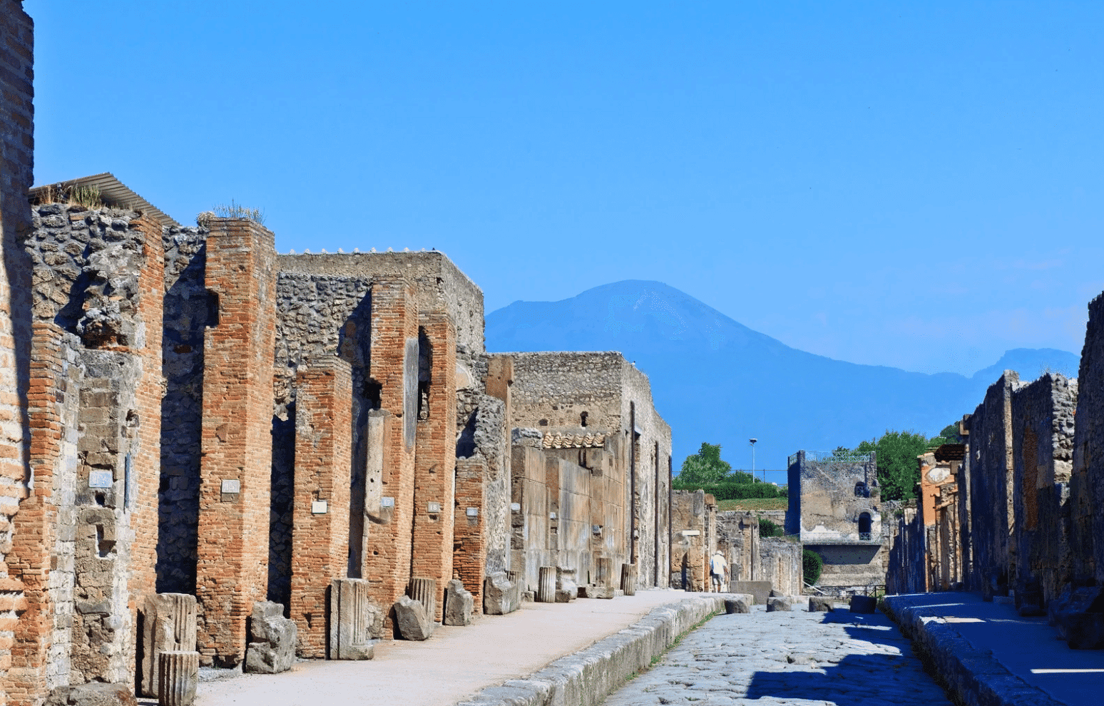 Pompeii and its ruins Guided Tour from Rome